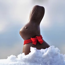 čokoládu naše tělo vlastně vůbec nepotřebuje