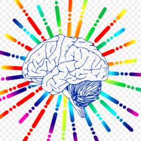 Spousta lidí se řídí emocemi a přemýšlí spíše srdcem než mozkem.