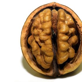 Podaří se nám mozek jednou prozkoumat úplně?