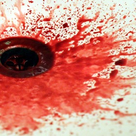 Po těle nosí kyslík a teplo