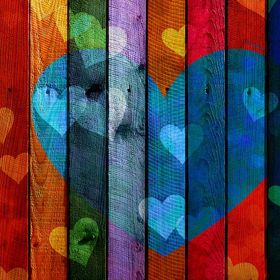 První lásky většinou dlouho nevydrží