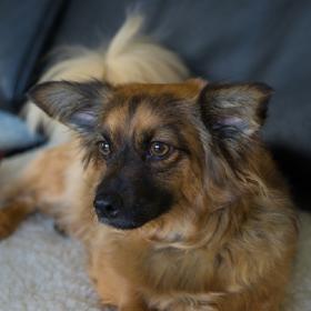 Zabere hodně času.