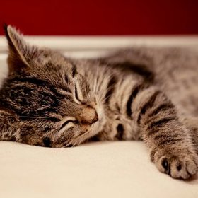 jen to dávají jinak najevo