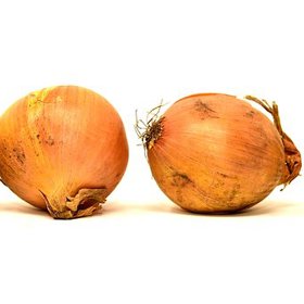 Umí skvěle odhlenit.