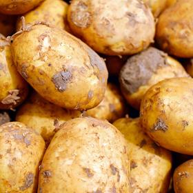 Někteří lidé nemohou loupat brambory.