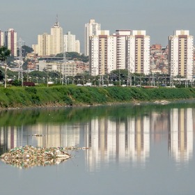 A jejich sběrem napomáháte alespoň životnímu prostředí
