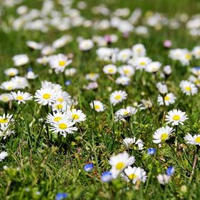 Využívejte tedy hlavně ji.