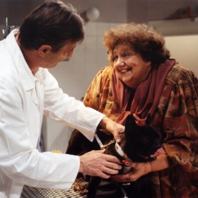 Na DAMU ale přijata nebyla