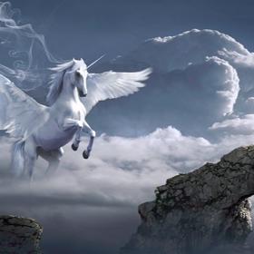 Jděte si za svými sny.