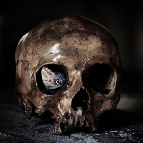 „Nikdo neví, co je smrt, a přece se jí všichni bojí, jako by uznávali, že je největším zlem, třeba je pro člověka největším dobrem.“