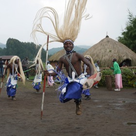 Nikdo se k nim do dostatečné vzdálenosti nepřiblížil. Obrázky jsou tak pouze ilustrační