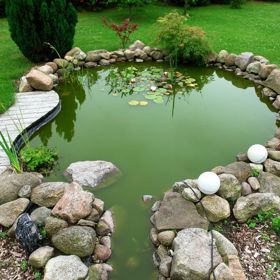 Jenže čeho je moc, toho je příliš, a to platí i pro řasy.