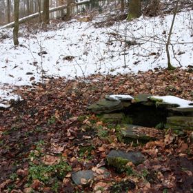 Hlasování o oživení dalších studánek se blíží do finále!