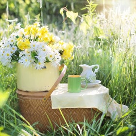 Nic není lepší než se najíst v přírodě.