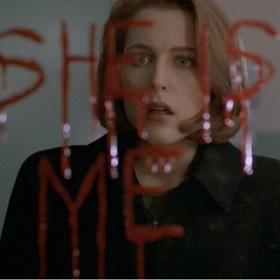 Záhadný tvor byl prý velice agresivní. Napadal trolejbusy, lidi a troufl si dokonce i na dveře několika podniků a klubů ve městě.