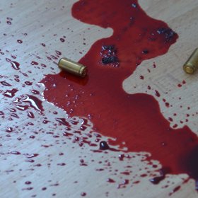 Co se musela těmto šílencům honit hlavou?