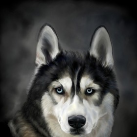 V nové hře se dostanete do kůže psa huskyho