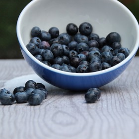 Kolik borůvek dokážete sesbírat za hodinu?