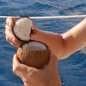 Na kokos budete potřebovat kladívko a trochu hrubé síly. Klepejte vždy ve stejném místě kolem dokola.