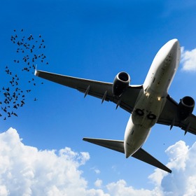 Letecká doprava je považována za nejbezpečnější