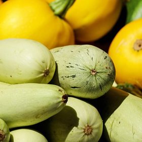 Pokud budete jíst cuketu pravidelně, bude vaše pokožka pevnější, pružnější a zdravější.