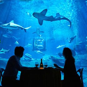 Dobrou noc, žraloku. Tento romantický víkend v Paříži je pro silné žaludky