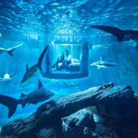 Dobrou noc, žraloku. Tento romantický víkend v Paříži je pro silné žaludky