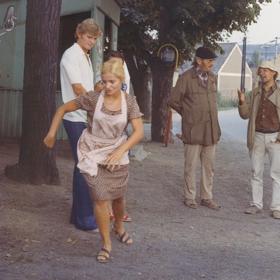 V seriálu Chalupáři s Jiřím Schmitzerem, Jiřím Sovákem a Josefem Kemrem.