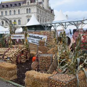 Užijete si dny plné kultury a zábavy.