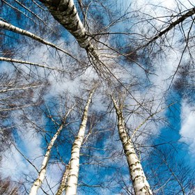 Zdravý životní styl je významným faktorem, jak problémům s prostatou předejít. Lze ho ale doplnit i vybranou směsí bylin, které pečují o zdraví mužských orgánů a celkovou imunitu organismu.