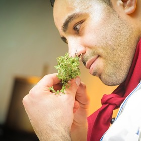 Italové, Španělé, Brazilci — ti sex přímo milují.