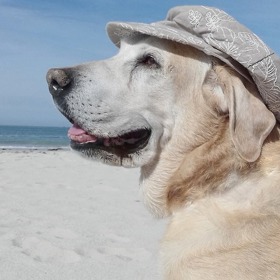 Dbejte na přísun tekutin.