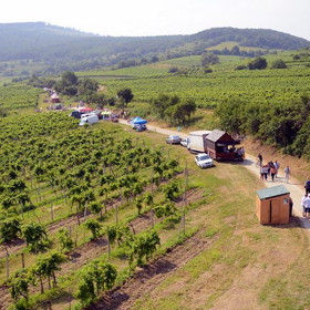 Mezi atrakce Malokarpatské vinné cesty patří i návštěva vinařského muzea v Pezinku nebo Školského majetku v Modre, která je spojena s degustací kvalitních vín této oblasti.