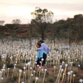 „Světelné pole bylo jedním z nápadů, které skončily v mém skicáku a neustále mě otravovaly, dokud nebyly hotové,“ řekl Munro pro deník The Guardian.