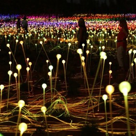 Světla pohání 36 solárních panelů propojených se 144 projektory, které přenáší světlo do vláknitých optických kabelů.