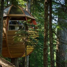 Jednopokojový loft v Kanadě byl postaven nelegálně a má tvar vejce. Jak to asi vypadá uvnitř?