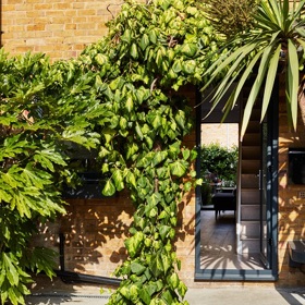 Londýnský městský dům se svou typickou cihlovou fasádou leží v módní čtvrti Shoreditch. Život v těchto stísněných prostorech je vtipně přizpůsoben městskému prostředí