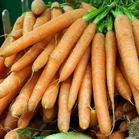 Budete potřebovat mrkev...