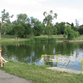 Vodní rostliny v první meandrové nádrži zbaví vodu nežádoucích složek.