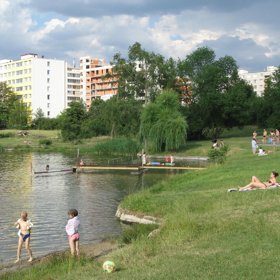 Dále pak teče do leknínového jezírka.