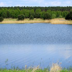 Zkuste proto biotop místo obyčejného rybníku.