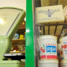 Jogurty a další mléčné výrobky vypadaly v podstatě všechny stejně.