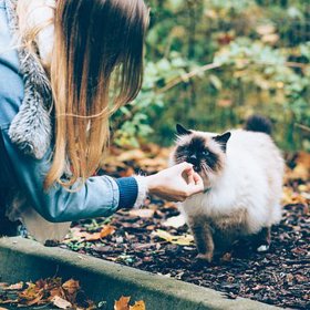 Ale ani ta kočka to nežere.