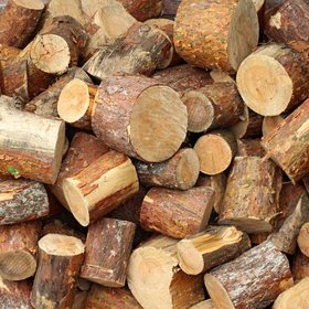 Na přepravu avokáda je potřeba velké množství dřeva.