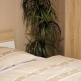 Rostlinám se naopak vyvarujte.