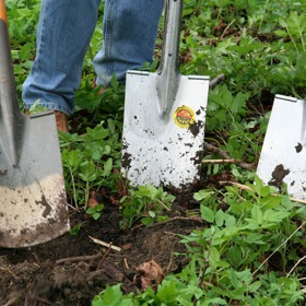 Důležitá je i venkovní činnost