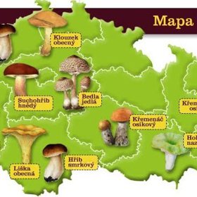 Mapa houbařských oblastí ČR