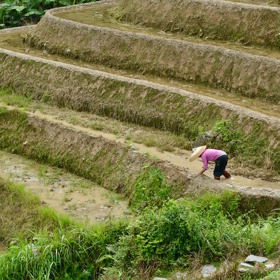 Na začátku 50. let byla zavedena politika veřejných poprav jednoho statkáře v každé čínské vesnici.