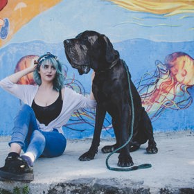 Se psem o velikosti poníka budete hledat hodně dlouho.