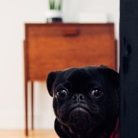 Panička odešla, jde se ničit!